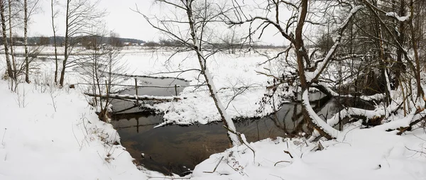 Зимний пейзаж с ручьем — стоковое фото