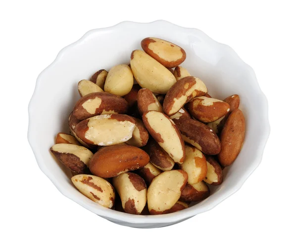 Brazil nut (Bertholletia excelsa) — Stock Photo, Image
