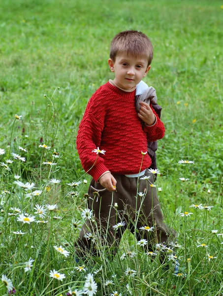 Poika niityllä. . — kuvapankkivalokuva