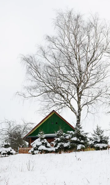 冬の田園風景. — ストック写真