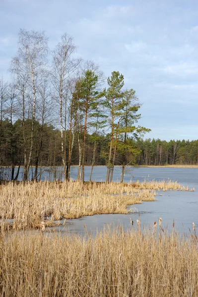 Lago en marzo — Foto de Stock