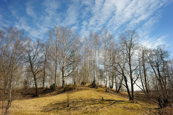 Landscape in March — Stock Photo, Image