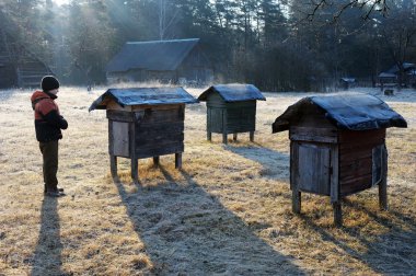 Country apiary in early spring clipart