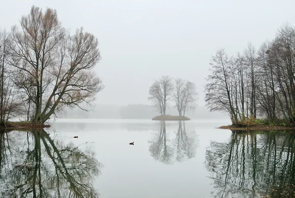 Озеро в листопаді — стокове фото