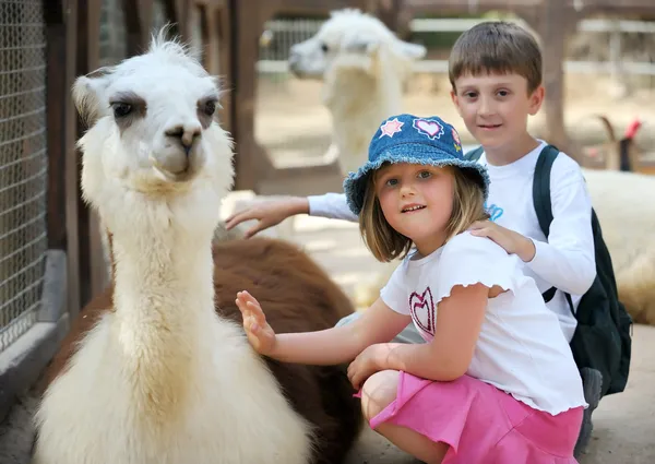 Παιδιά και ζώα στο ζωολογικό κήπο — Φωτογραφία Αρχείου