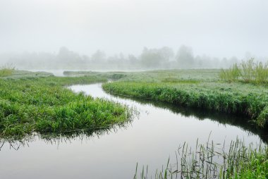 Morning river mist clipart