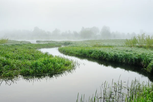 Floden morgondimman — Stockfoto
