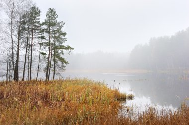 Autumn morning on the lake clipart