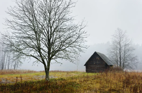 stock image Autumn morning in the village