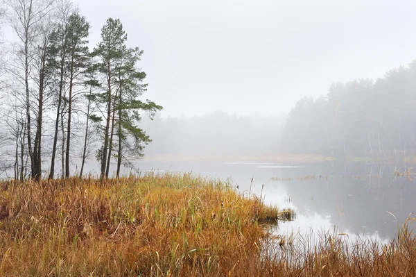 Mattina d'autunno sul lago — Foto Stock