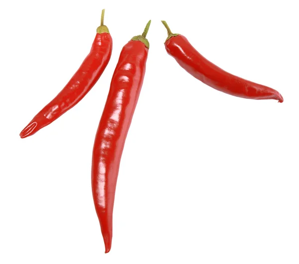 Červené Chilli Papričky Samostatný — Stock fotografie