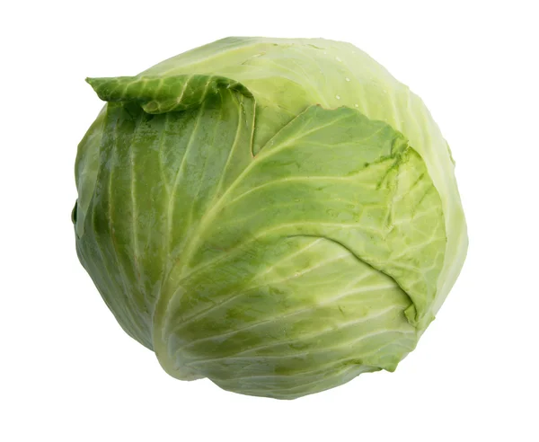 Fresh Green Cabbage White Background Top View — Stock Photo, Image