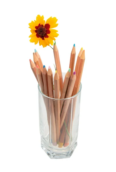 Vase Pencils Isolated White — Stock fotografie