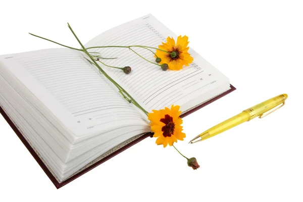 Yellow Flower Book Isolated White Background — Zdjęcie stockowe