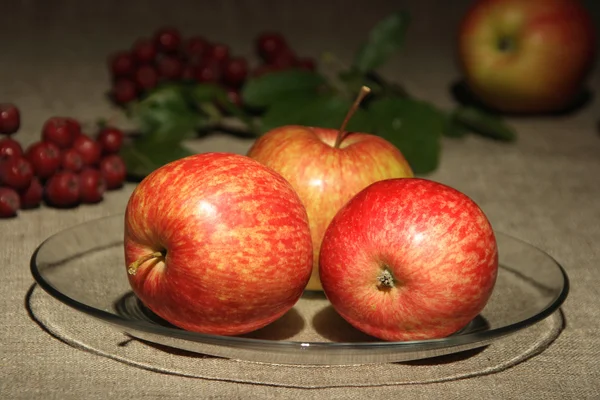 Äpfel Auf Dem Tisch — Stockfoto