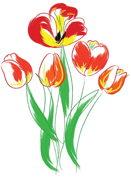 Vector Illustration Tulips White Background —  Vetores de Stock