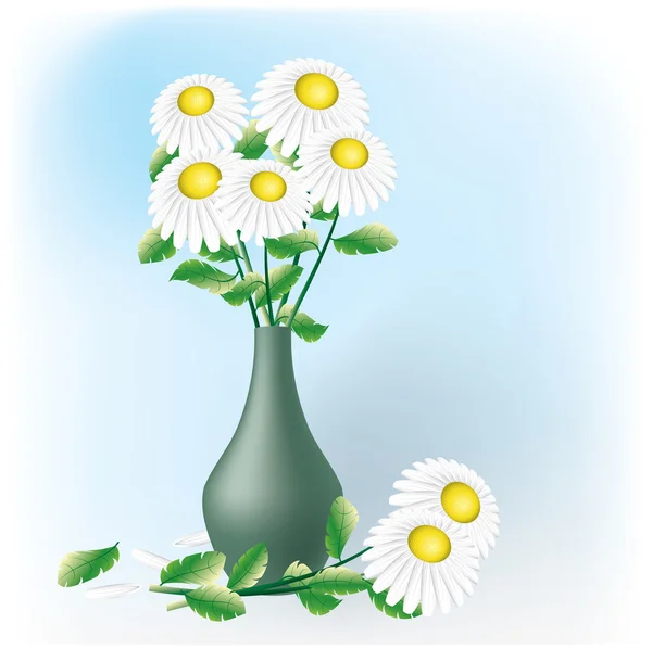 Bouquet de camomilles . — Image vectorielle
