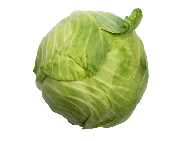 Single green cabbage with dew. — Stock Photo, Image