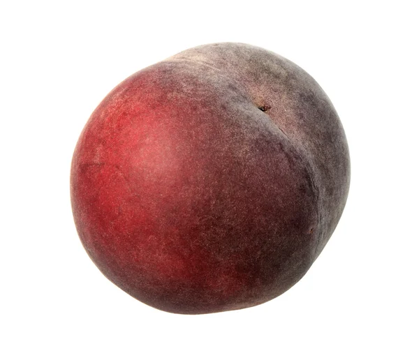 Één donker-rood perzik. — Stockfoto