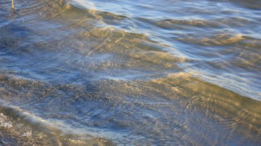 waves in the water, sea, waves on the beach 