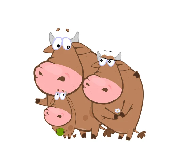Cartoon Funny Cows White Background Illustration Children — 图库照片