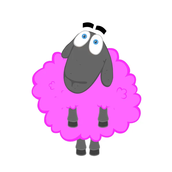 Funny Sheep White Background — Zdjęcie stockowe