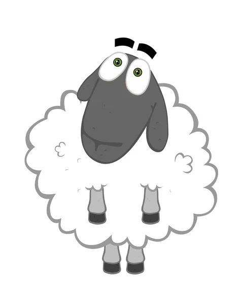 Funny Cartoon Sheep White Background — Stok fotoğraf