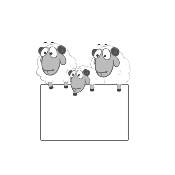 卡通羊的空白板 — 图库照片