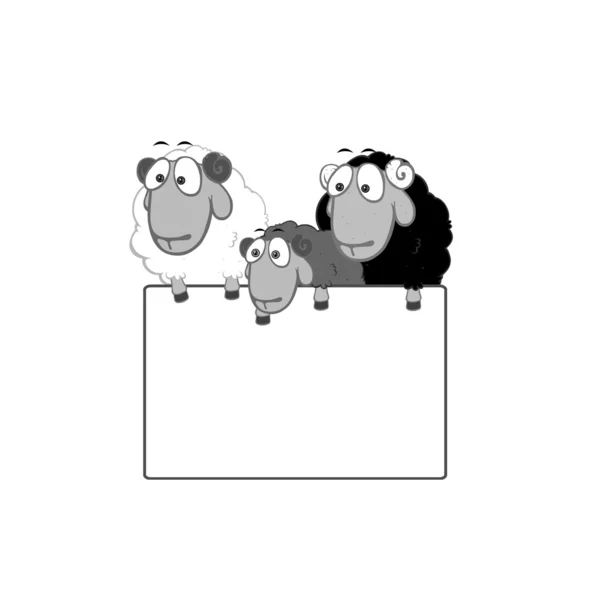 Sheep Board Blank Sign — Stockfoto