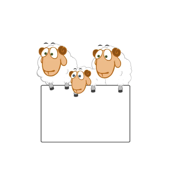 Sheep Blank Sign — Foto Stock