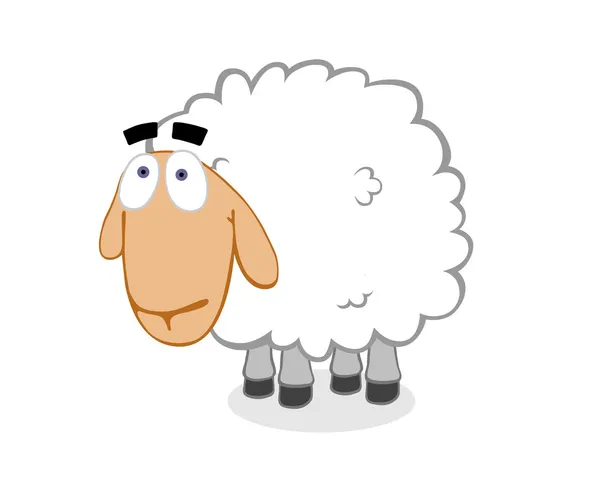Funny Sheep Big Eyes — Stok fotoğraf
