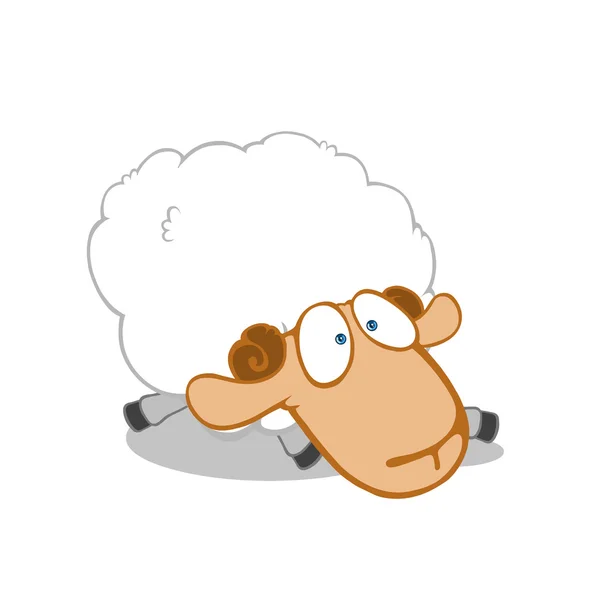 Funny Sheep Face — стоковое фото