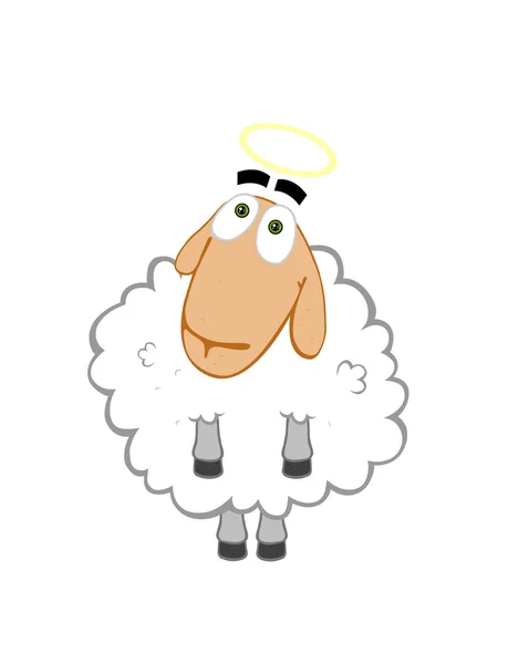 Cute Lamb Character Blank White Sign — стоковое фото
