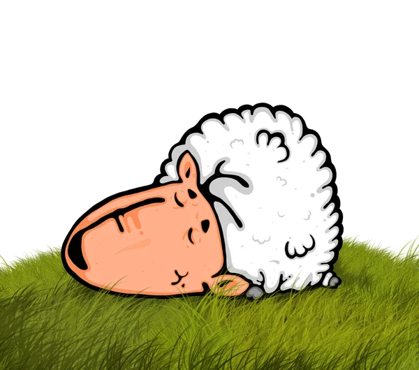 Cartoon Cute Sheep Meadow — Stock fotografie
