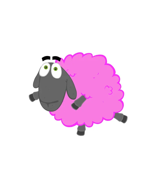 Dansende schapen — Stockfoto