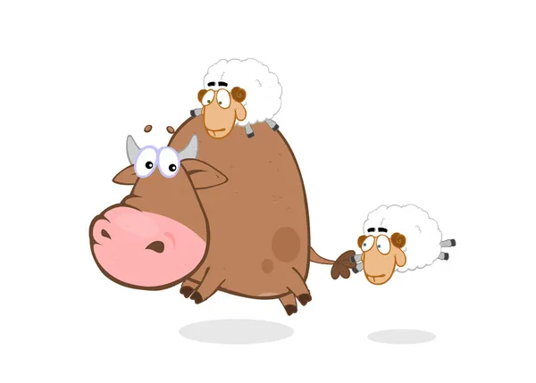 Bull - schapen — Stockfoto