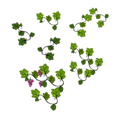 Grapevine clipart