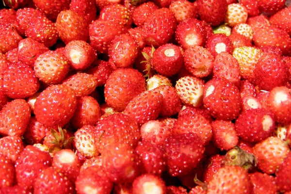 Trä jordgubbar. — Stockfoto