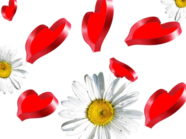 Chamomile with hearts — Stock Photo, Image