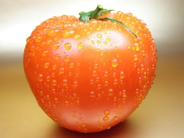 One tomato — Stock Photo, Image