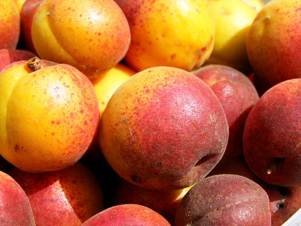 stock image Fresh apricots