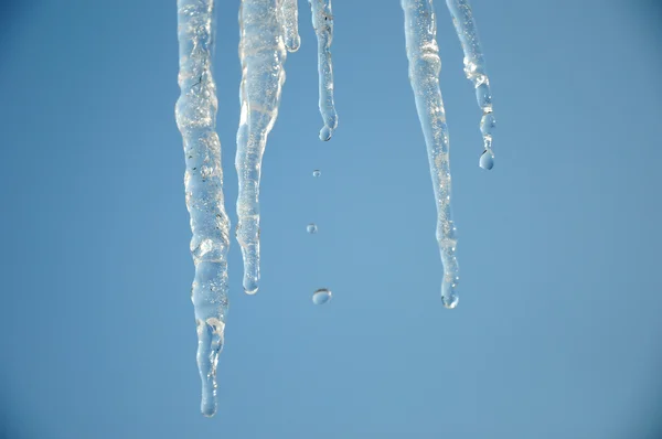 Icicles and sunlight — Stock Photo, Image