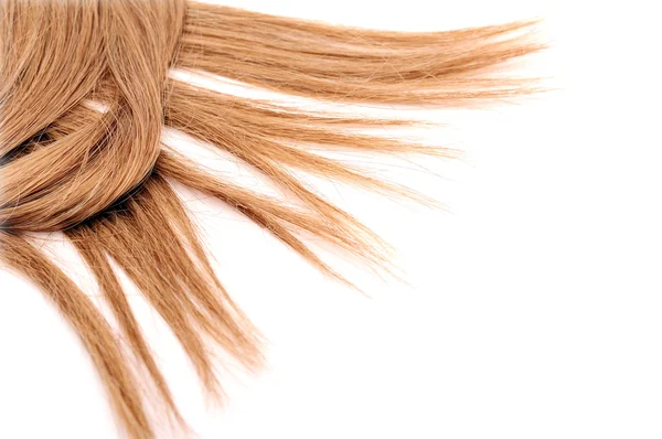 긴 갈색 머리 — 스톡 사진