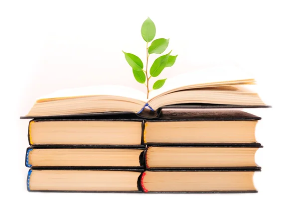 Stapel boeken met een groene spruit . — Stockfoto