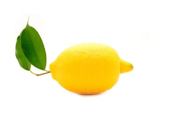 Limón sobre fondo blanco —  Fotos de Stock