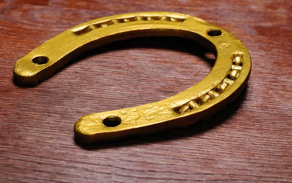 Gold horseshoe — Stock Photo, Image