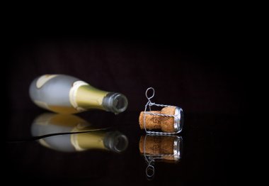 bottle of champagne and a glass of champagne with a black background. 