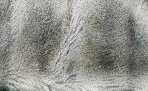 Fur Coat Texture Background — Stockfoto
