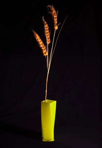 Vase Wheat — Stock Photo, Image