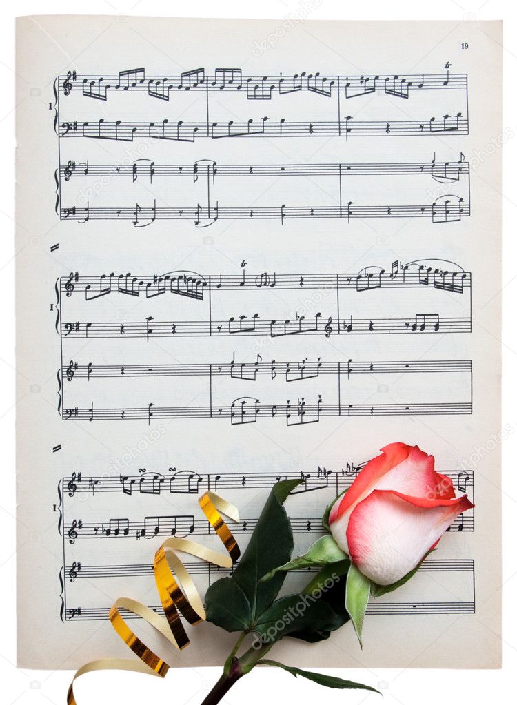 beautiful roses on the piano 